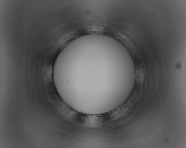 X0000091230717200708231654