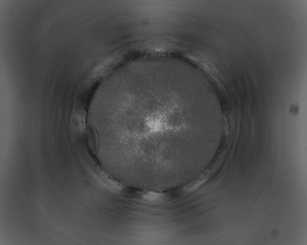 X0000091230718200708231654