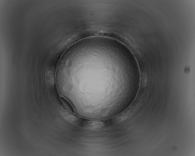 X0000091230719200708231654
