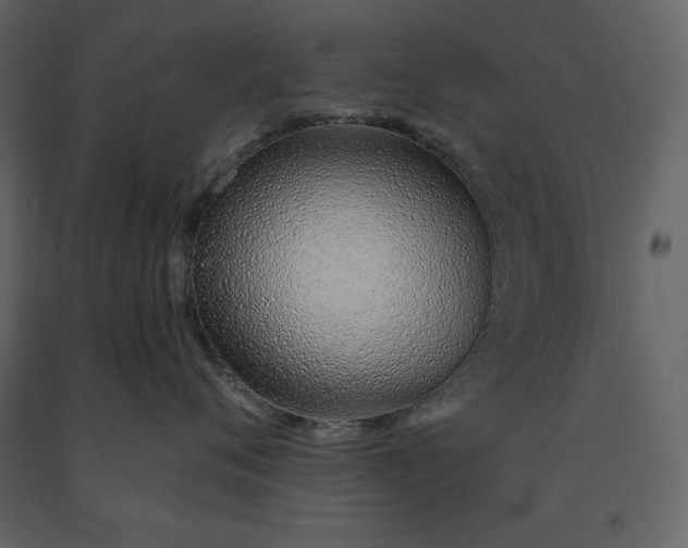X0000091230720200708231654