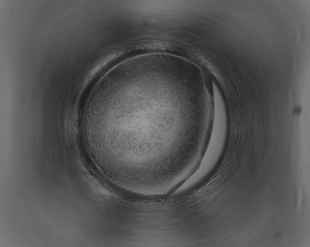 X0000091230722200708231654