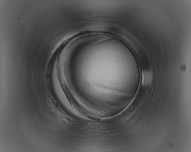 X0000091230723200708231654