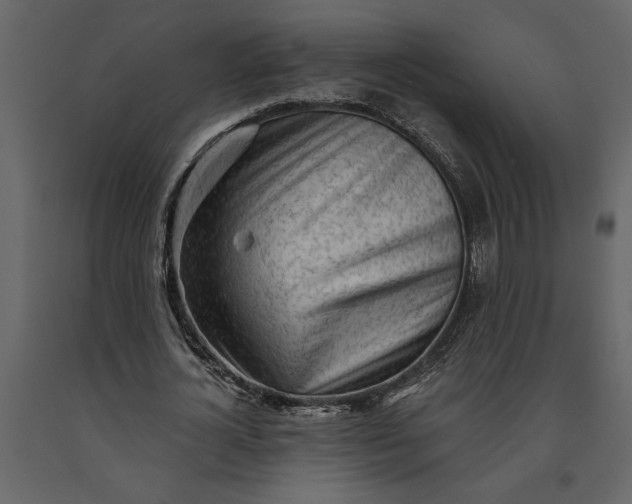 X0000091230724200708231654