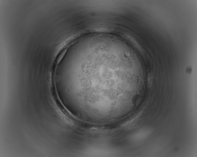 X0000091230725200708231654