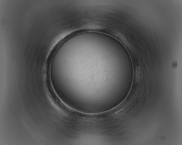 X0000091230726200708231654