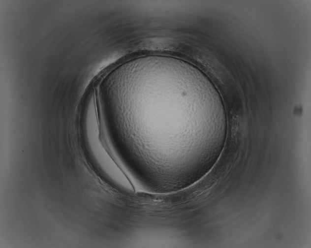 X0000091230727200708231654