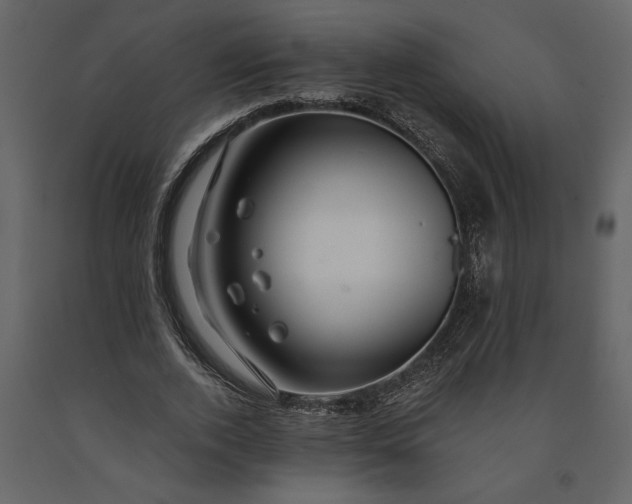 X0000091230728200708231654