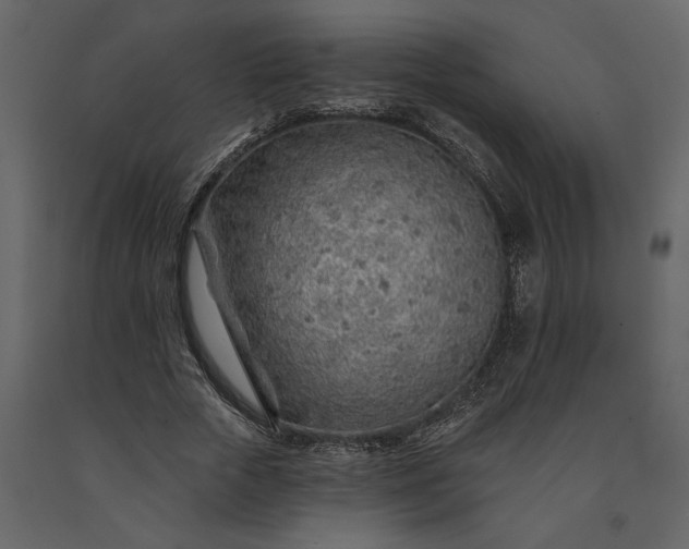X0000091230729200708231654