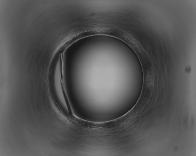 X0000091230730200708231654