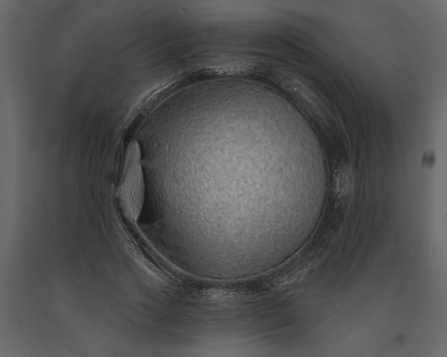 X0000091230733200708231654