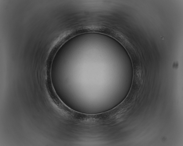 X0000091230734200708231654