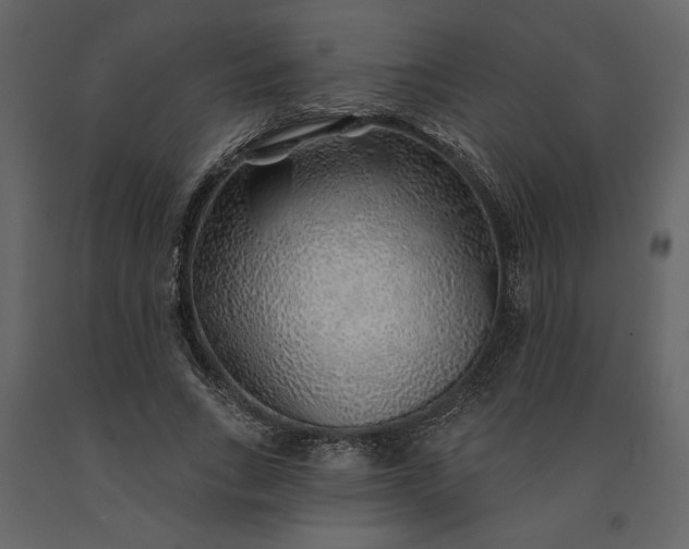 X0000091230735200708231654
