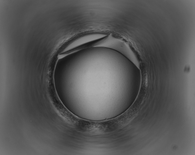 X0000091230736200708231654