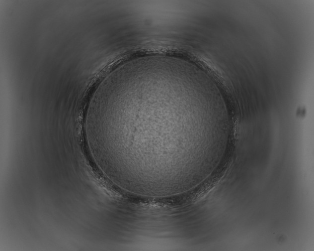 X0000091230737200708231654