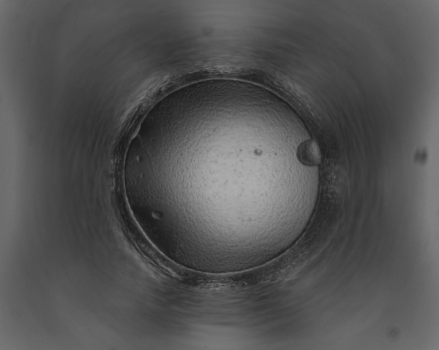 X0000091230738200708231654