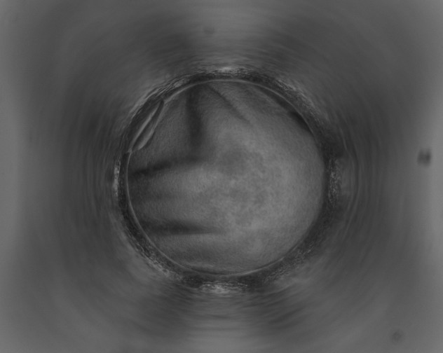 X0000091230739200708231654