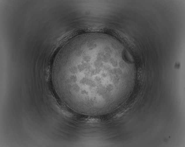 X0000091230741200708231654