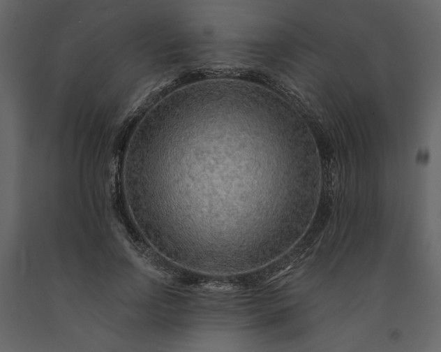 X0000091230742200708231654