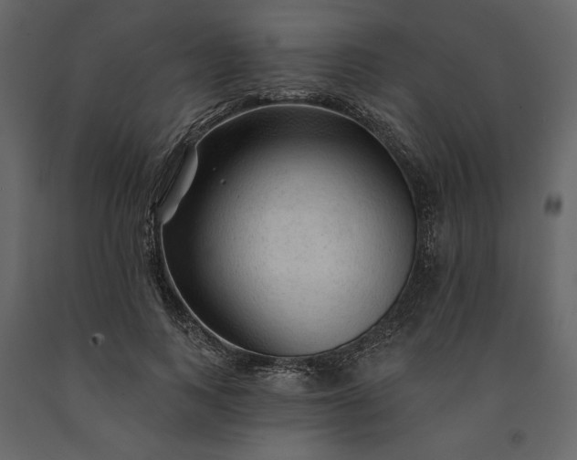 X0000091230743200708231654