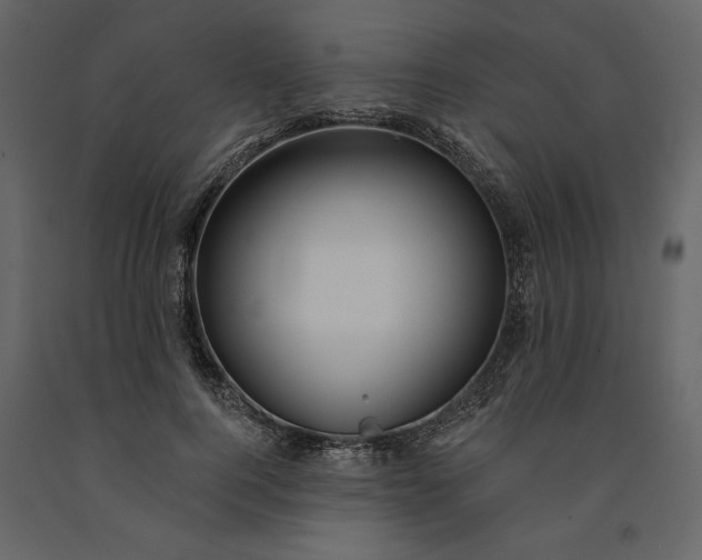 X0000091230744200708231654