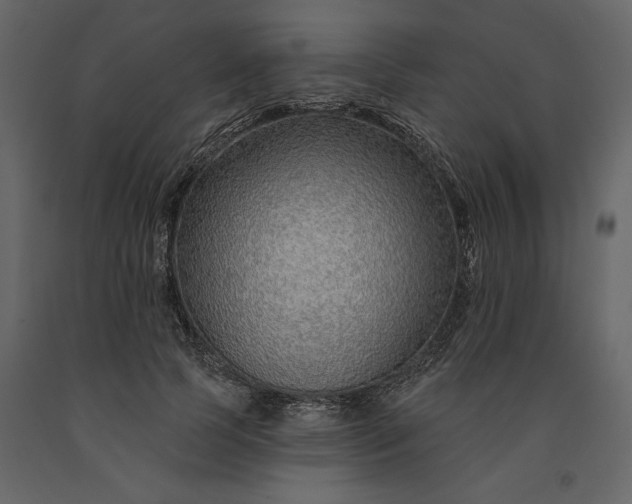 X0000091230745200708231654