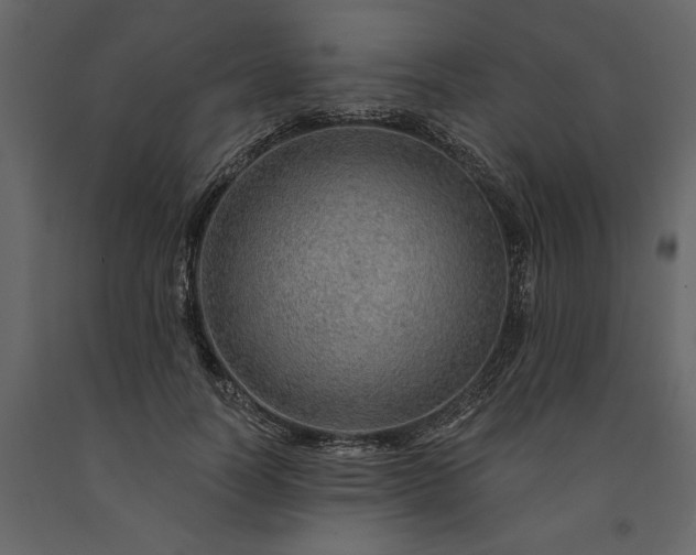 X0000091230746200708231654