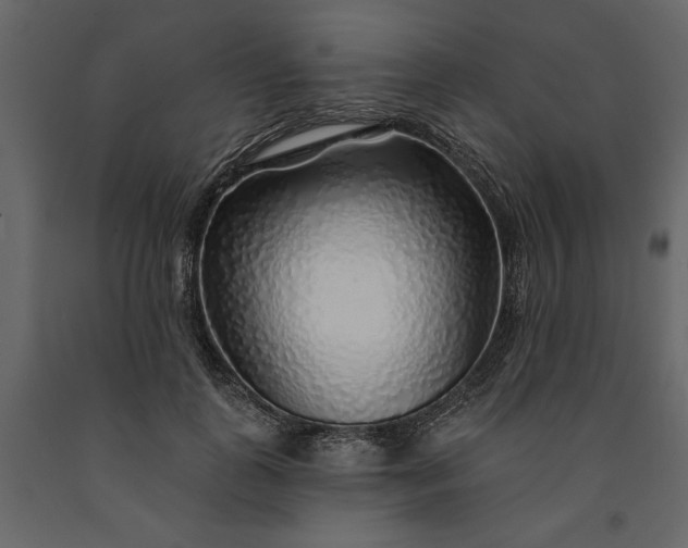 X0000091230747200708231654