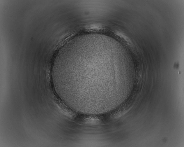 X0000091230749200708231654