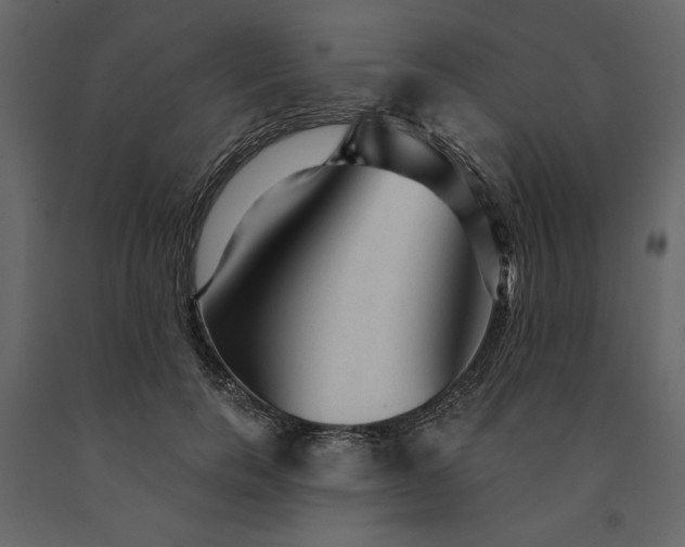 X0000091230750200708231654