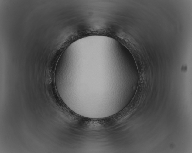 X0000091230751200708231654