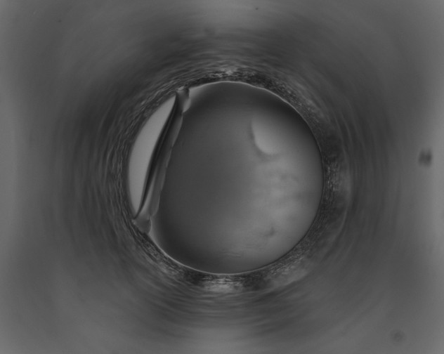 X0000091230754200708231654