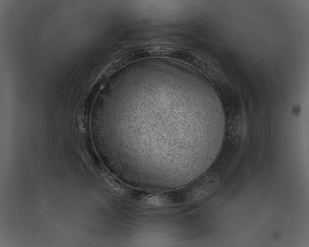X0000091230755200708231654