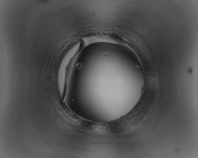 X0000091230756200708231654