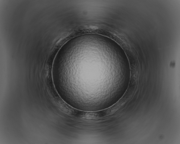 X0000091230758200708231654