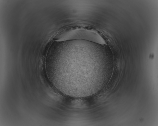X0000091230759200708231654
