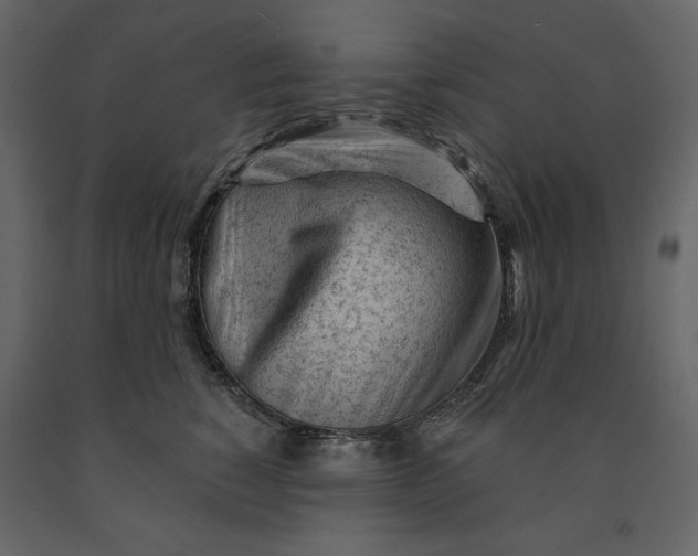 X0000091230760200708231654