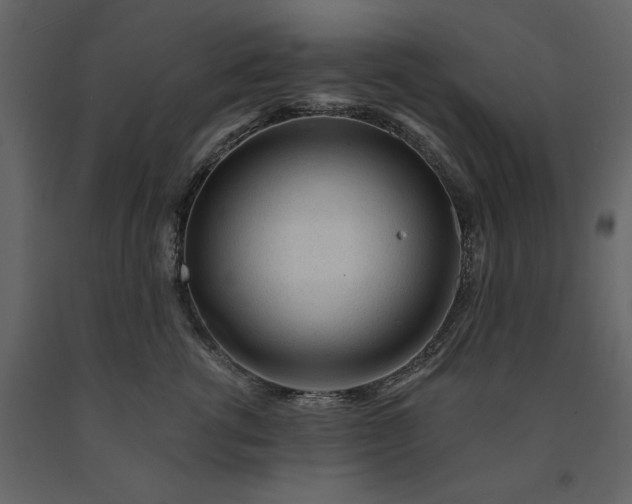 X0000091230762200708231654