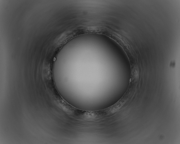X0000091230764200708231654
