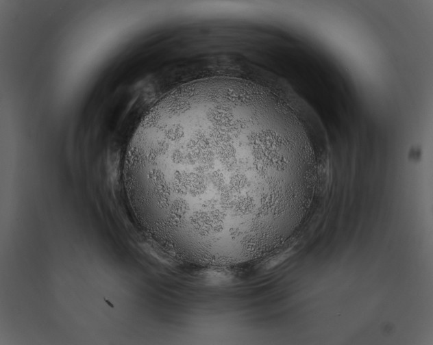 X0000091230765200708231654