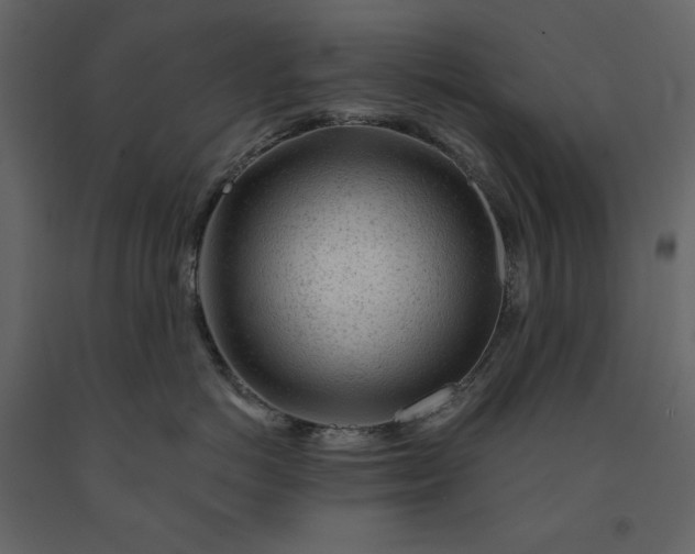 X0000091230766200708231654