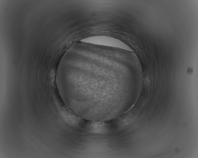 X0000091230767200708231654