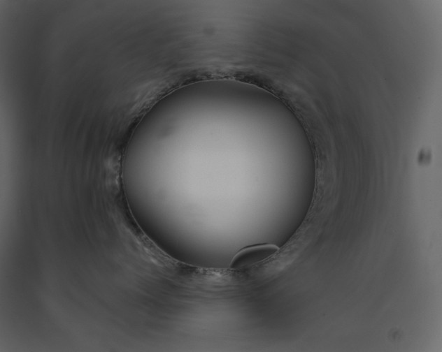 X0000091230768200708231654