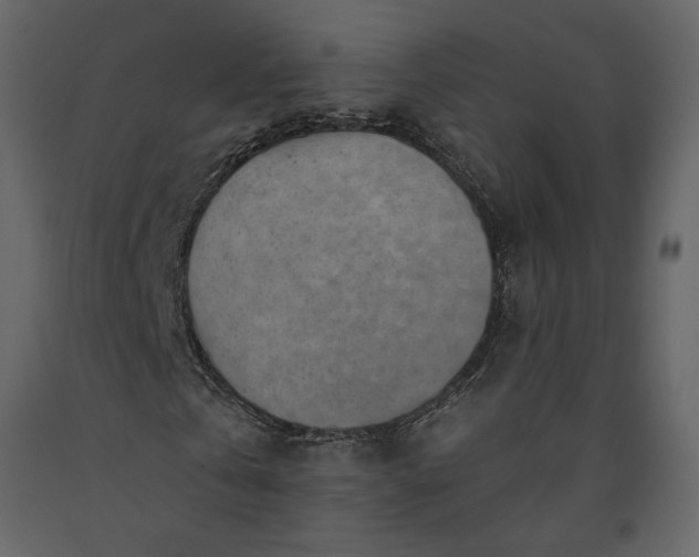 X0000091230769200708231654