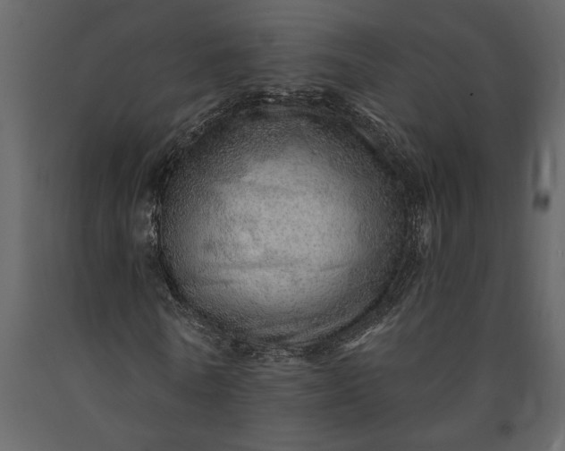 X0000091230770200708231654