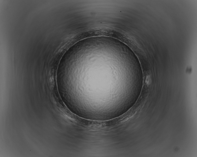 X0000091230771200708231654