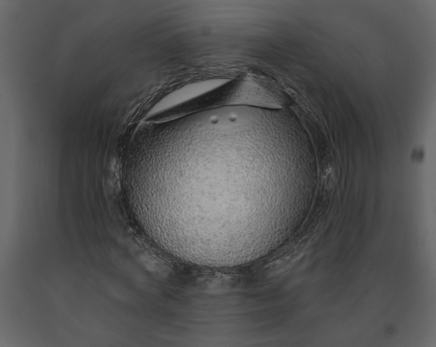 X0000091230772200708231654