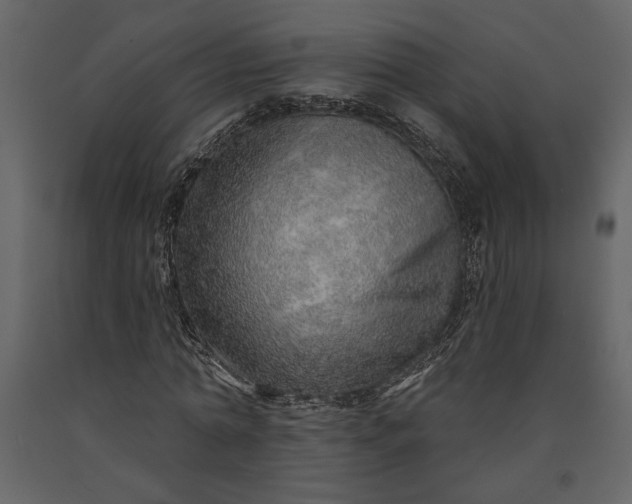 X0000091230774200708231654