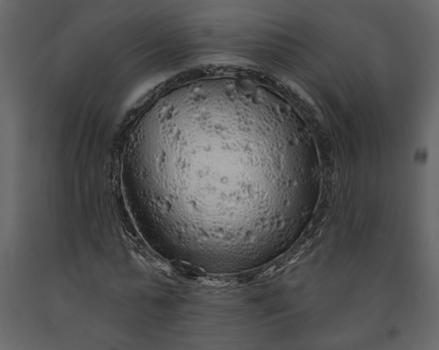 X0000091230775200708231654
