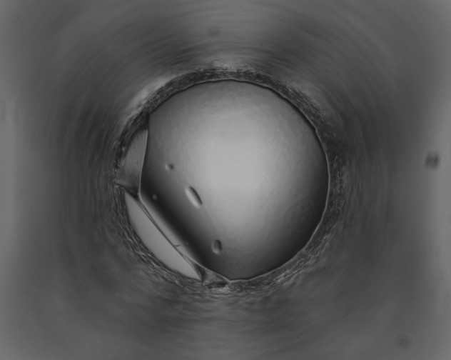 X0000091230776200708231654