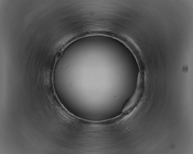 X0000091230777200708231654